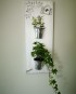 Support mural en bois pour jolies plantes